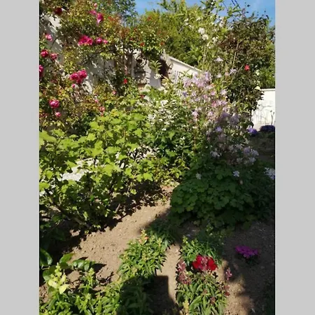 La Roseliere Maison Plain Pied Confortable Belle Decoration Jardin Magnifique Parking Privatif A 10 Mn A Pied Centre Ville Bayeux Proche Plages Du Debarquement Et Omaha Beach * Байе