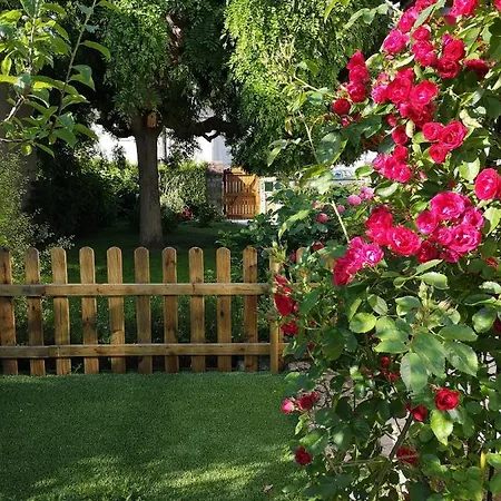 La Roseliere Maison Plain Pied Confortable Belle Decoration Jardin Magnifique Parking Privatif A 10 Mn A Pied Centre Ville Bayeux Proche Plages Du Debarquement Et Omaha Beach Дом отдыха