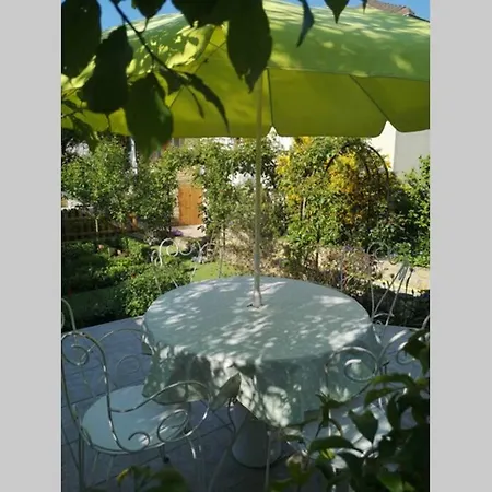 La Roseliere Maison Plain Pied Confortable Belle Decoration Jardin Magnifique Parking Privatif A 10 Mn A Pied Centre Proche Plages Du Debarquement Et Omaha