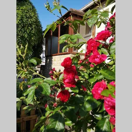 La Roseliere Maison Plain Pied Confortable Belle Decoration Jardin Magnifique Parking Privatif A 10 Mn A Pied Centre Proche Plages Du Debarquement Et Omaha *