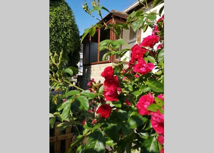 La Roseliere Maison Plain Pied Confortable Belle Decoration Jardin Magnifique Parking Privatif A 10 Mn A Pied Centre Proche Plages Du Debarquement Et Omaha *