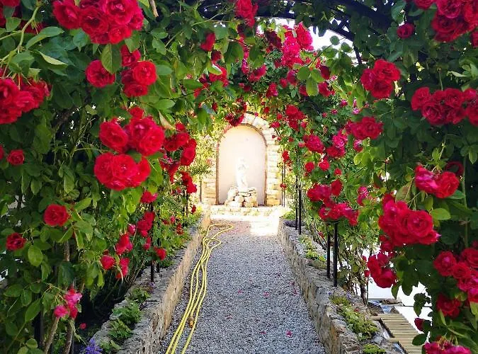 La Roseliere Maison Plain Pied Confortable Belle Decoration Jardin Magnifique Parking Privatif A 10 Mn A Pied Centre Proche Plages Du Debarquement Et Omaha Bayeux