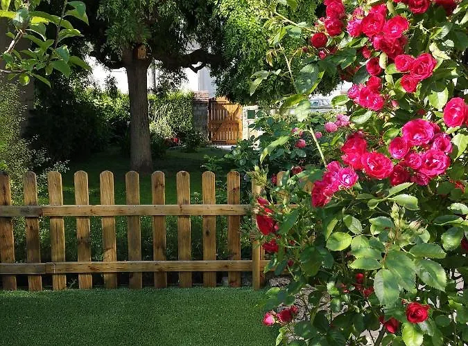 La Roseliere Maison Plain Pied Confortable Belle Decoration Jardin Magnifique Parking Privatif A 10 Mn A Pied Centre Proche Plages Du Debarquement Et Omaha Ferienhaus