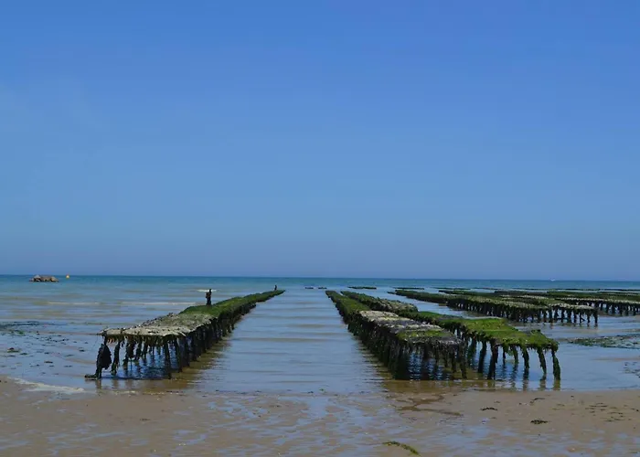 Ferienhaus La Roseliere Maison Plain Pied Confortable Belle Decoration Jardin Magnifique Parking Privatif A 10 Mn A Pied Centre Proche Plages Du Debarquement Et Omaha